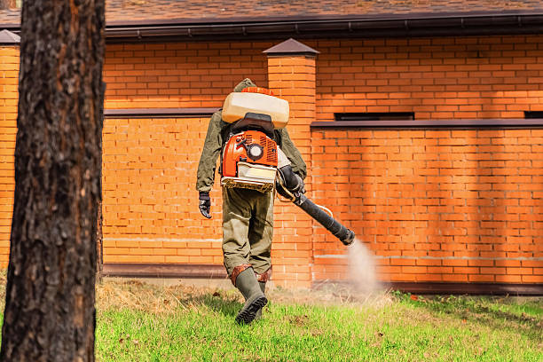 Trusted Ant Control service in Mountainhome, PA - Nex Pest Control